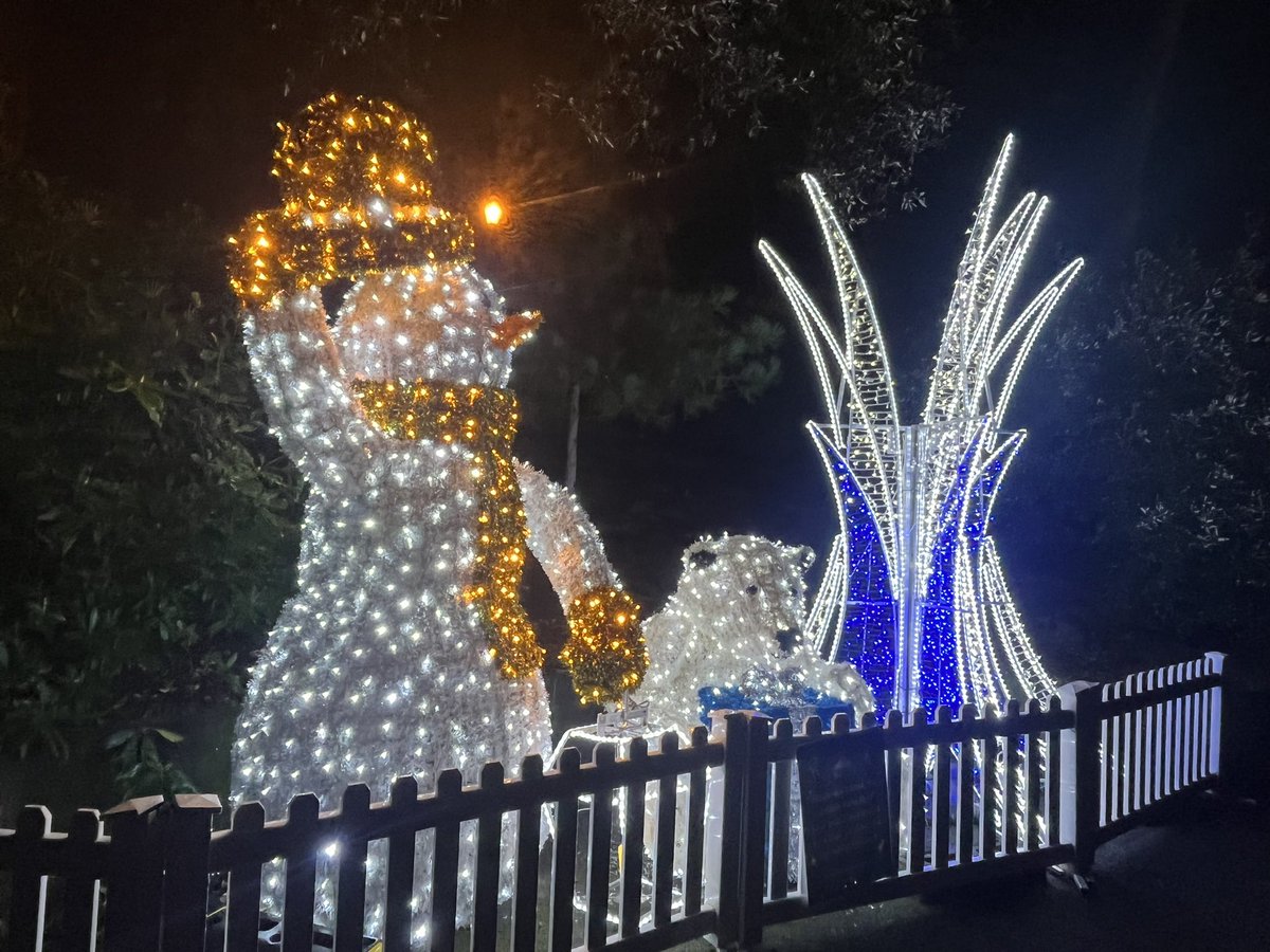 BrainyNewSexySH's tweet image. Christmas Tree Wonderland! ❤️ 🌲 🎁 #Bournemouth #ChristmasTreeWonderland #ChristmasLights #Christmas