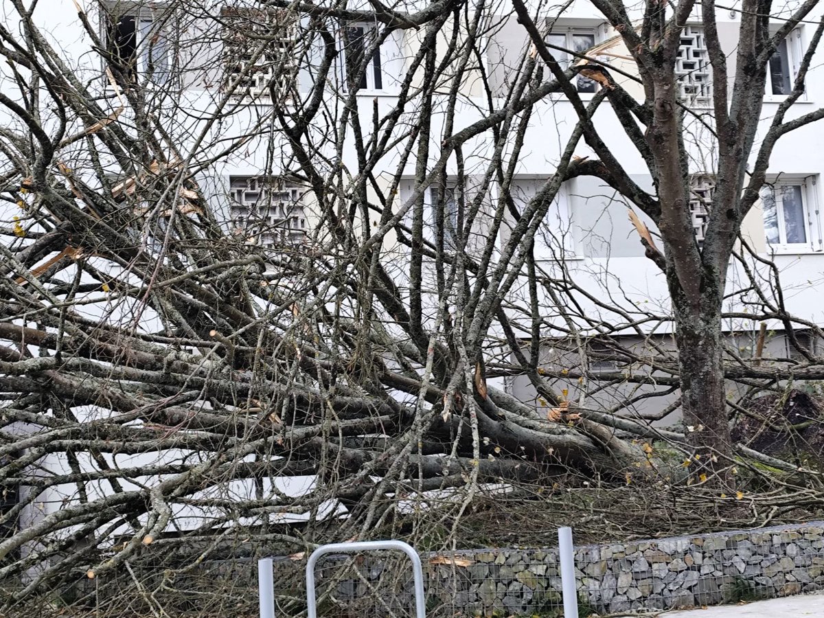 Prefet44's tweet image. #TempeteCaetano | Le sous-préfet de Saint-Nazaire s&apos;est rendu avec le @SDIS44 au collège Frida Kahlo sur la commune de Pontchâteau, qui a subi des dégâts sur sa toiture, puis dans le quartier de la Trébale à Saint-Nazaire.