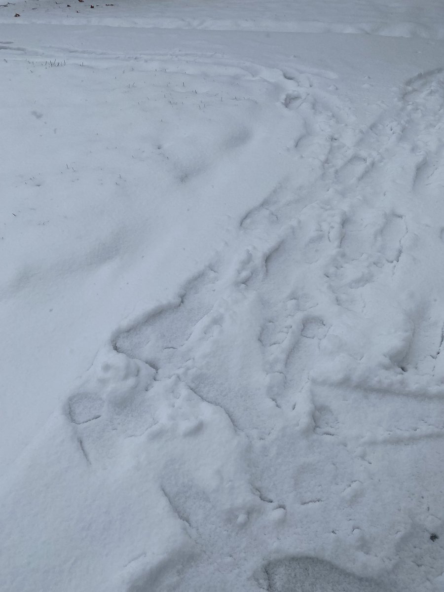 Aug9th!! tweet media