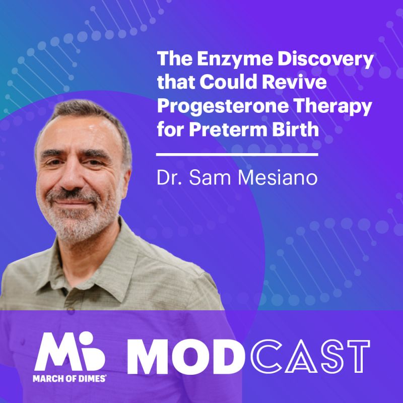 Dive into the latest MODCAST! Dr. Sam Mesiano, RSDP Committee Member, shares how his research on the enzyme AKR1C1 reveals its role in triggering labor by blocking progesterone during inflammation or infection-related preterm birth. 

🎧 Listen now: lnkd.in/e_5_aMW7