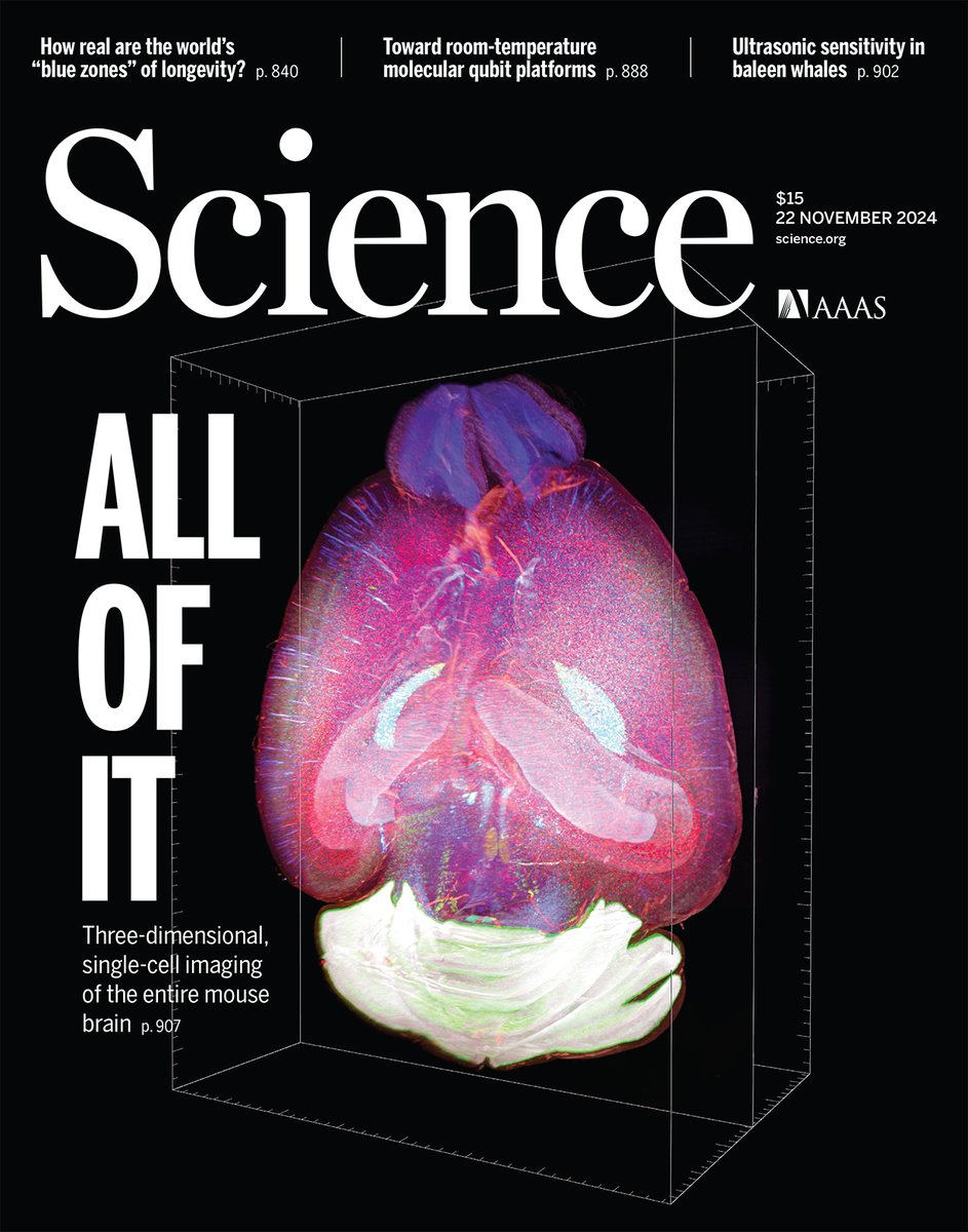 This light-sheet microscopy three-dimensional rendering shows a first-of-its-kind mouse whole-brain mRNA analysis at single-cell resolution.

Learn more in this week’s issue: bit.ly/3CCapy5