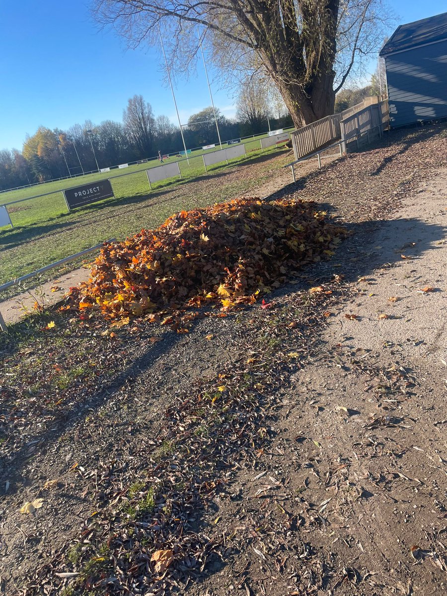 HullWykeRL's tweet image. Thanks to Katrina from our U13s for a great job arranging and laying leaves at the ground.

Really appreciated.

Hope we get more from our appeal to all teams too

#hullwyke 
#twoblues