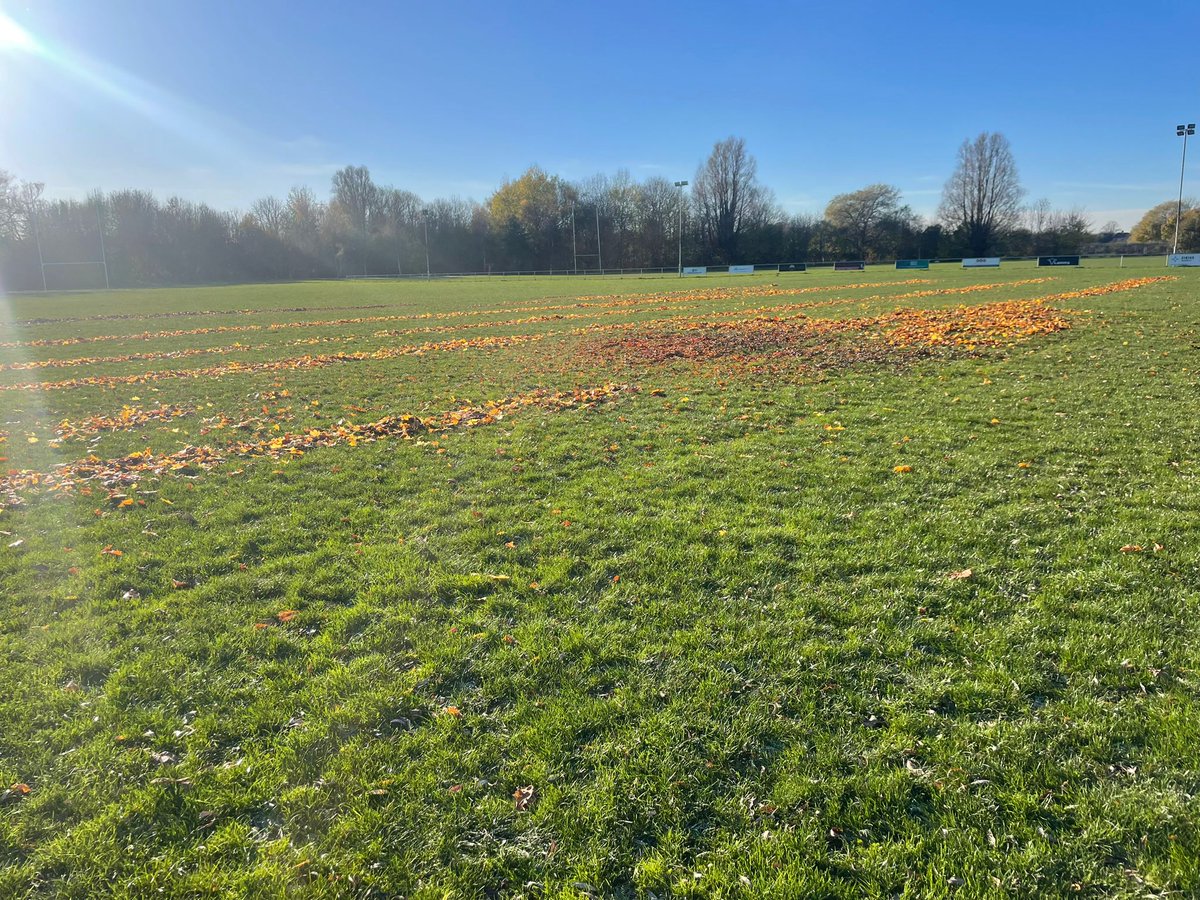 HullWykeRL's tweet image. Thanks to Katrina from our U13s for a great job arranging and laying leaves at the ground.

Really appreciated.

Hope we get more from our appeal to all teams too

#hullwyke 
#twoblues