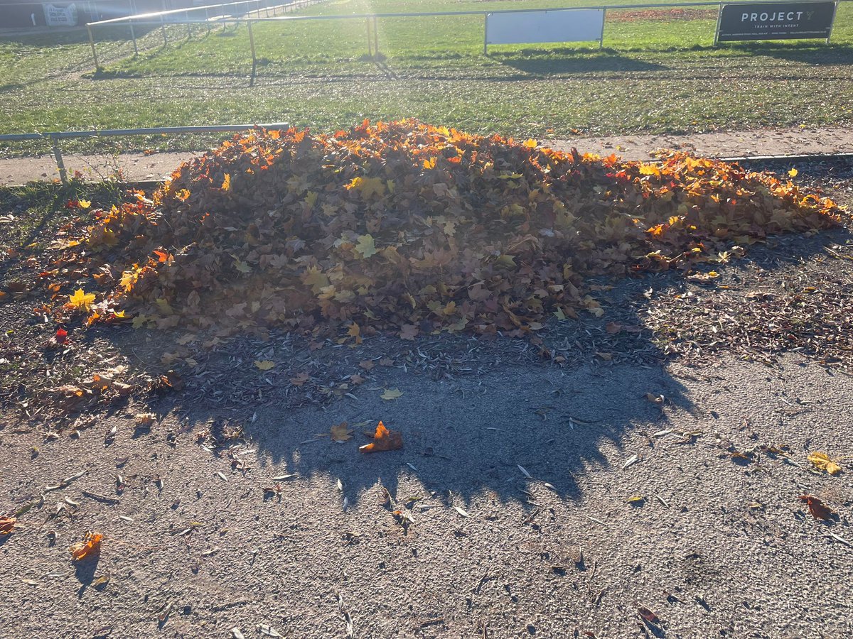 Thanks to Katrina from our U13s for a great job arranging and laying leaves at the ground.

Really appreciated.

Hope we get more from our appeal to all teams too

#hullwyke 
#twoblues