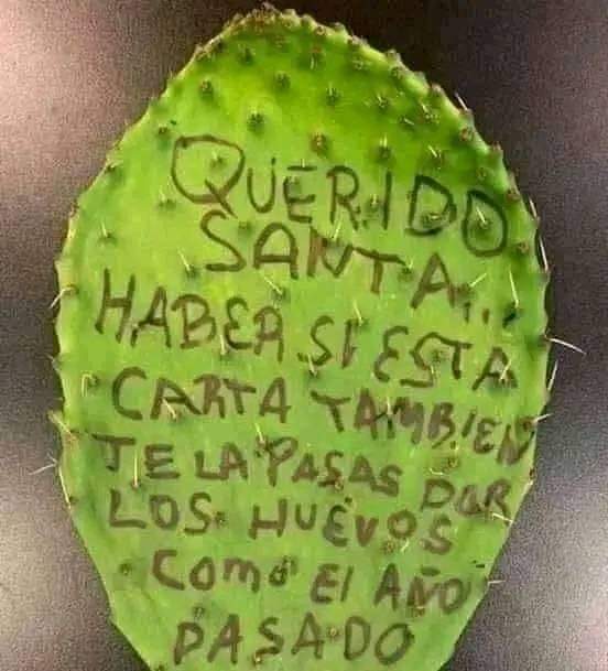 lilianadeteresa's tweet image. Querido Santa ........