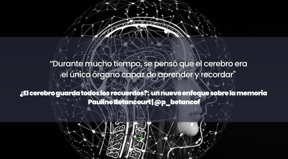 #Opinión <a href="/p_betancof/">Paulino Betancourt Figueroa</a>: "El descubrimiento de que el aprendizaje es un fenómeno celular general puede transformar nuestra visión de la biología".

Lee su artículo completo aquí ➡️ bit.ly/3CHHng9