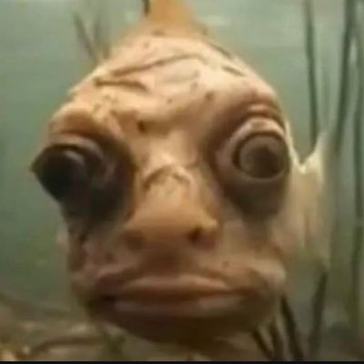 ain6ss's tweet photo. #NewProfilePic https://t.co/ngxR32rSnE