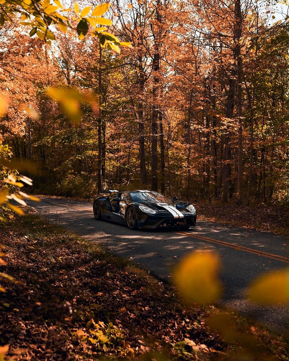 Fall Flavors. #FordGT 📸: @timmytran360