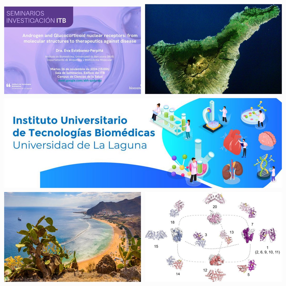 📢 I look very much forward to giving a talk in the  Instituto de Tecnologías Biomédicas in Universidad de La Laguna <a href="/ITB_ULL/">Instituto de Tecnologías Biomédicas</a> invited by Diego de la Rosa <a href="/ProfDalrosa/">Diego Alvarez de la Rosa</a> to discuss #nuclearreceptors oligomerization thanks to <a href="/invest_ull/">Investigación y Transferencia ULL</a> My first time ever in Canarias!