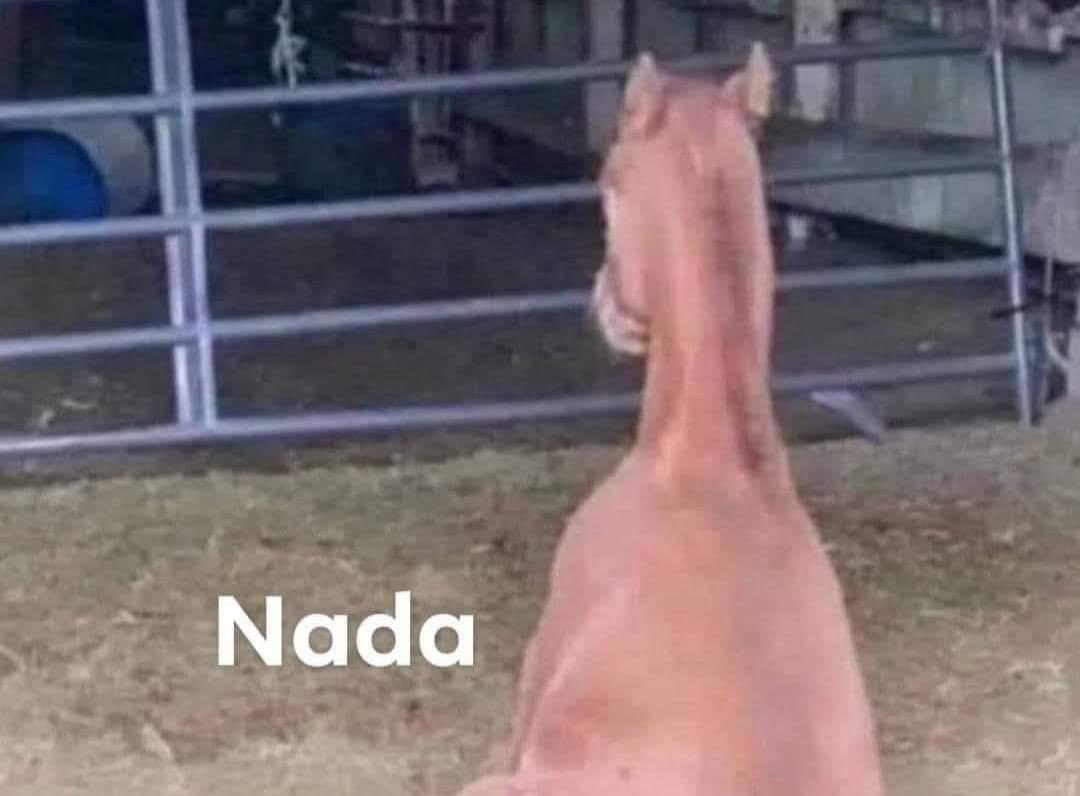 Mi compa: Que traes we?
Yo bien pdo a punto de llorar: