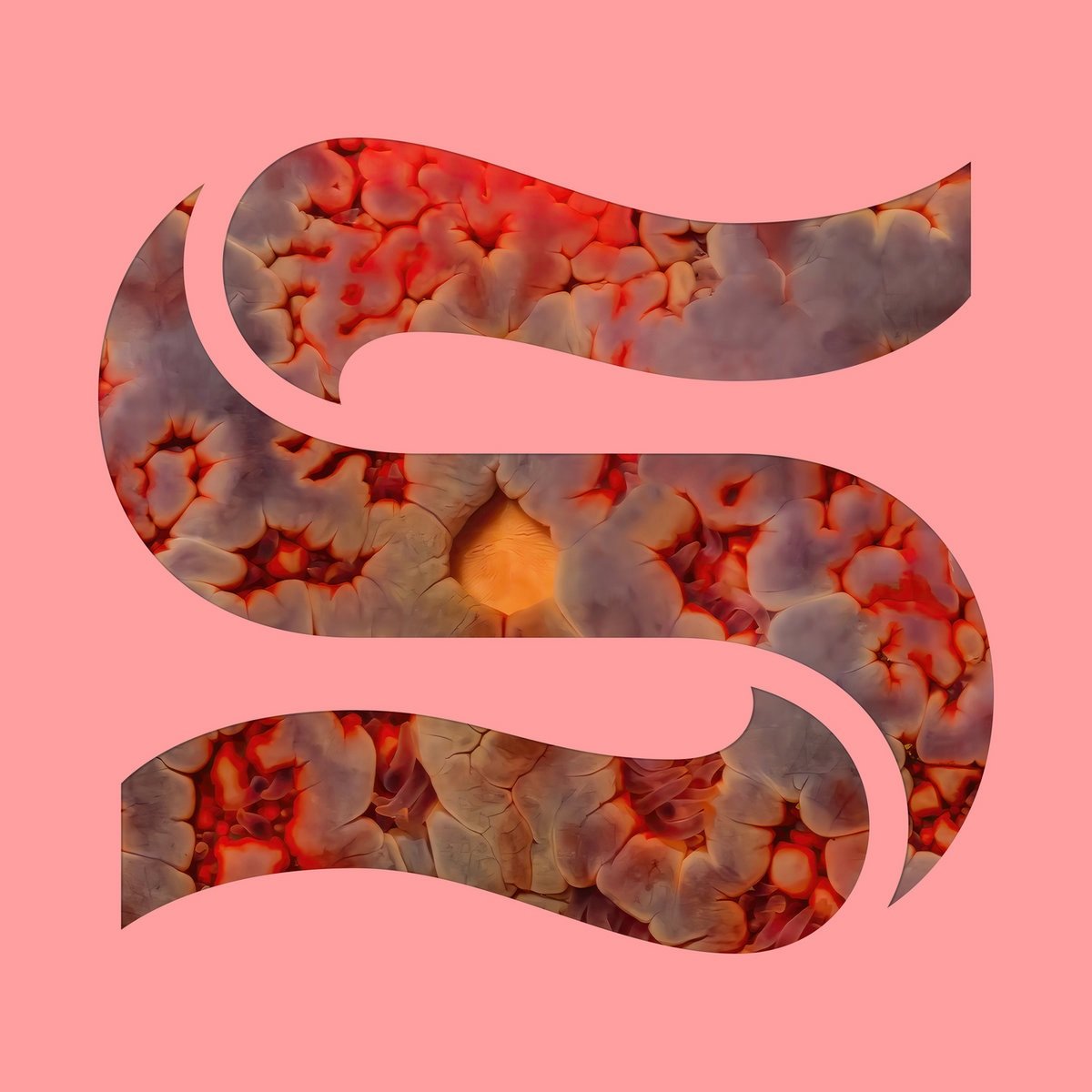 Each track on Kaitlyn Aurelia Smith and Joe Goddard’s debut EP together has a unique rhythmic texture, with the constant theme being a wall of bass that transports you to a celestial space | tinyurl.com/46xruhtu