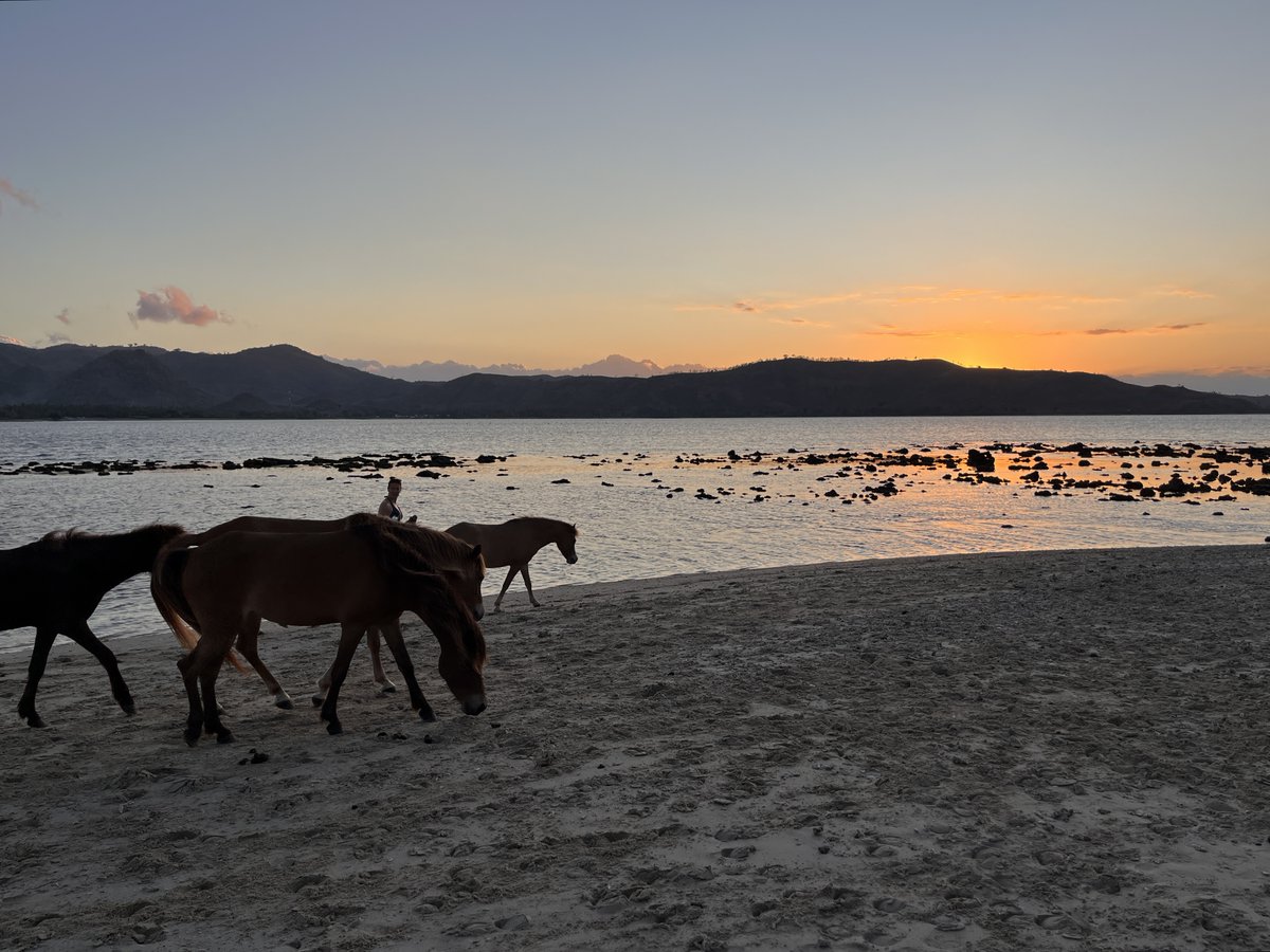 Singularia | viajes curiosos tweet media