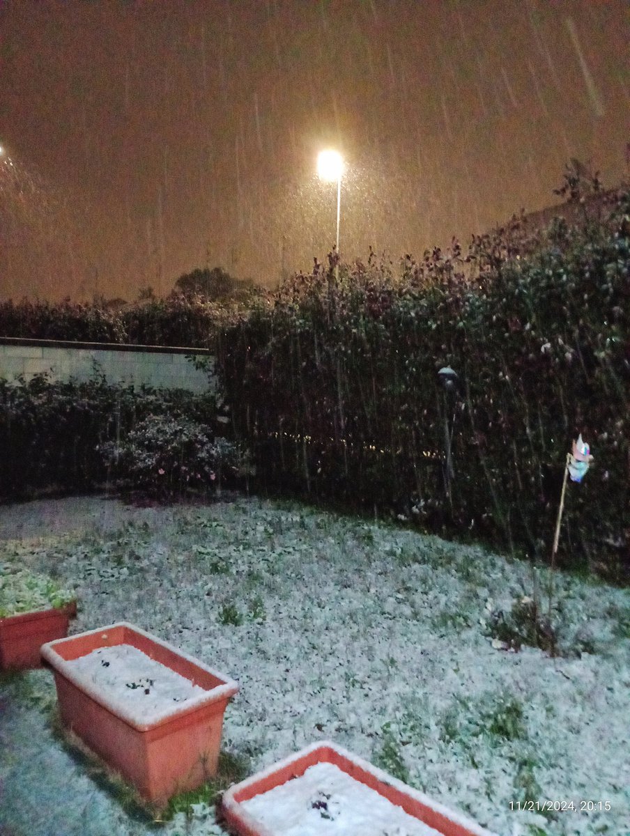 giodogsitter's tweet photo. La prima neve ❄️🌨️

#neve #gorlamaggiore #varese #inverno https://t.co/mfvkbn1hg0