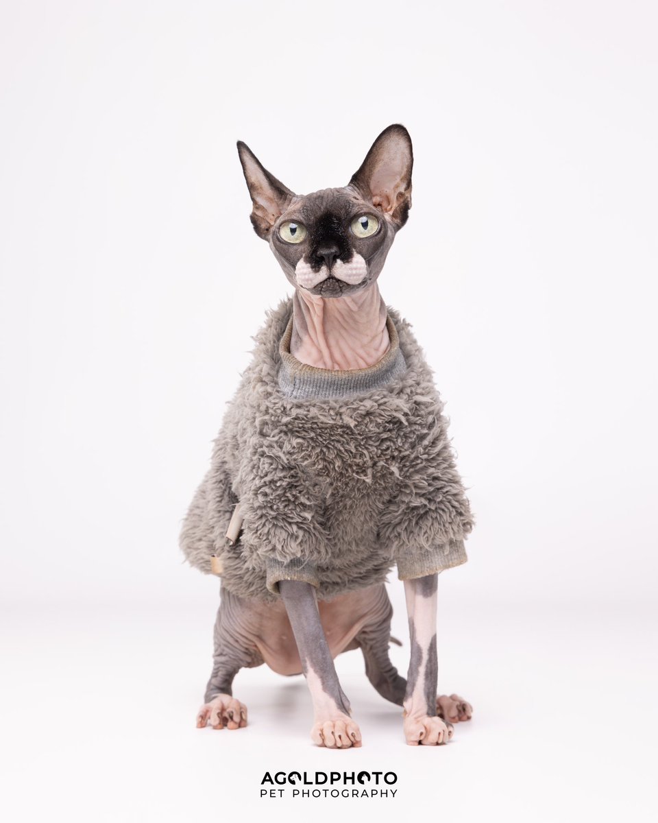 Floridians once the temps hit 60