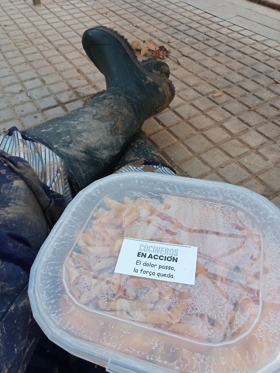 Bomberos Forestales La Rioja tweet media