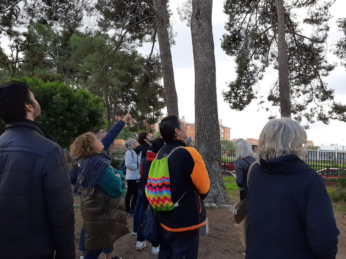 reus_cat's tweet photo. 🐿️ Avui, des del projecte #RENATUReus, hem visitat el jardí de @Mas_Carandell per conèixer de prop els arbres que ens envolten i observar els esquirols.
En col·laboració amb l'INS Gaudí, amb els alumnes de l'IFE de cura d'animals i espais verds.

@FBiodiversidad #ProyectosPRTR https://t.co/j5jCjDWVVR