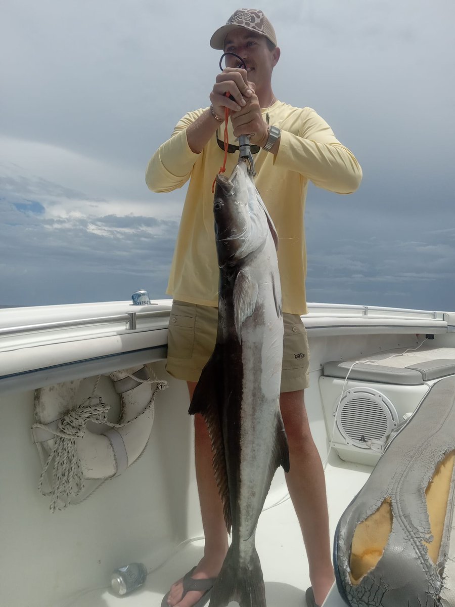 Gulf Assassin tweet media