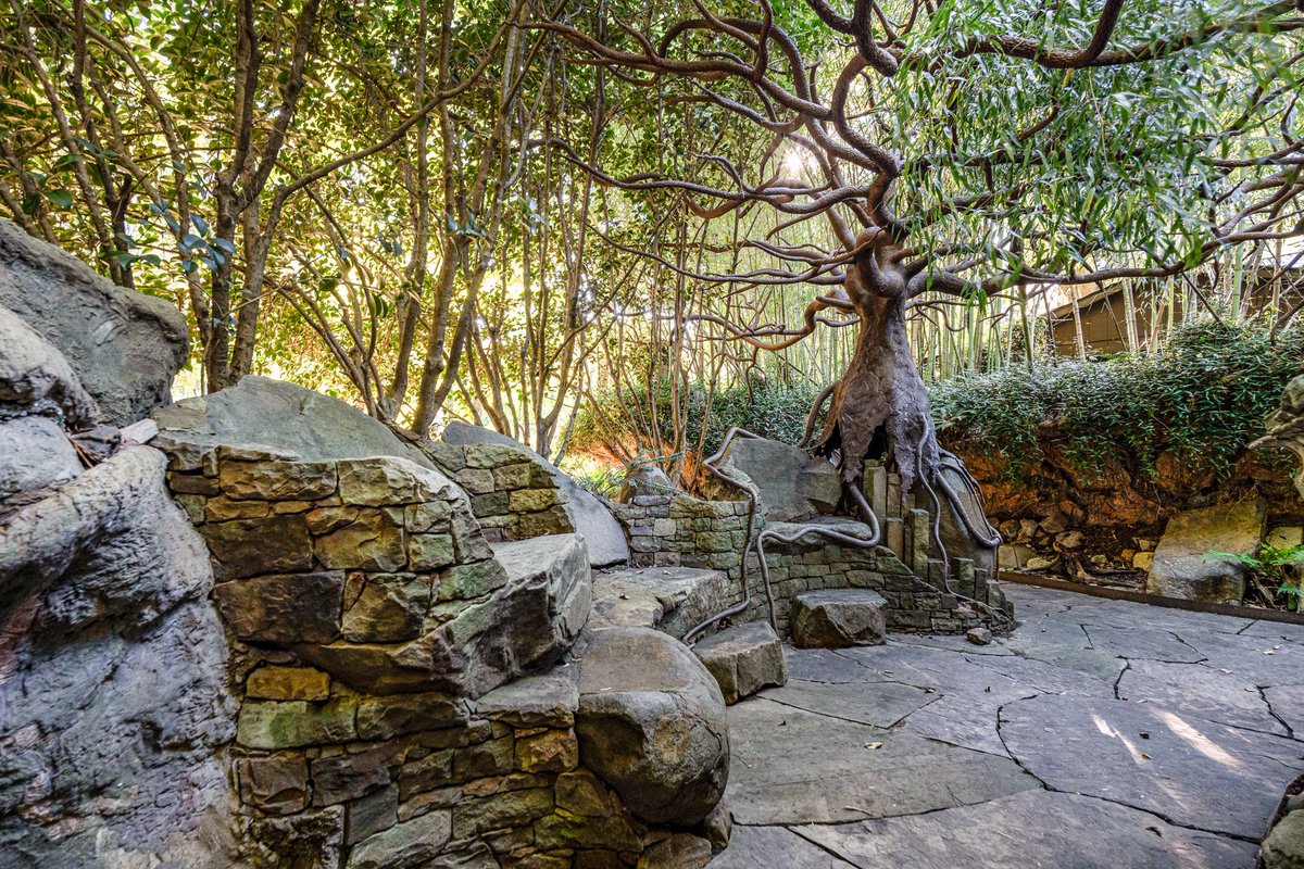 zillowgonewild's tweet image. Second of all, growing old is seeing a nice tree and going Damn, that’s a nice tree