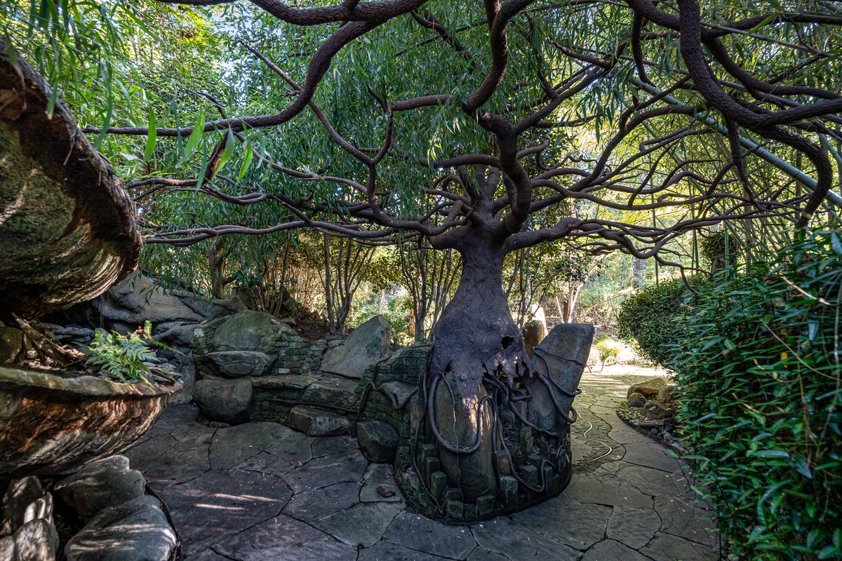 zillowgonewild's tweet image. Second of all, growing old is seeing a nice tree and going Damn, that’s a nice tree