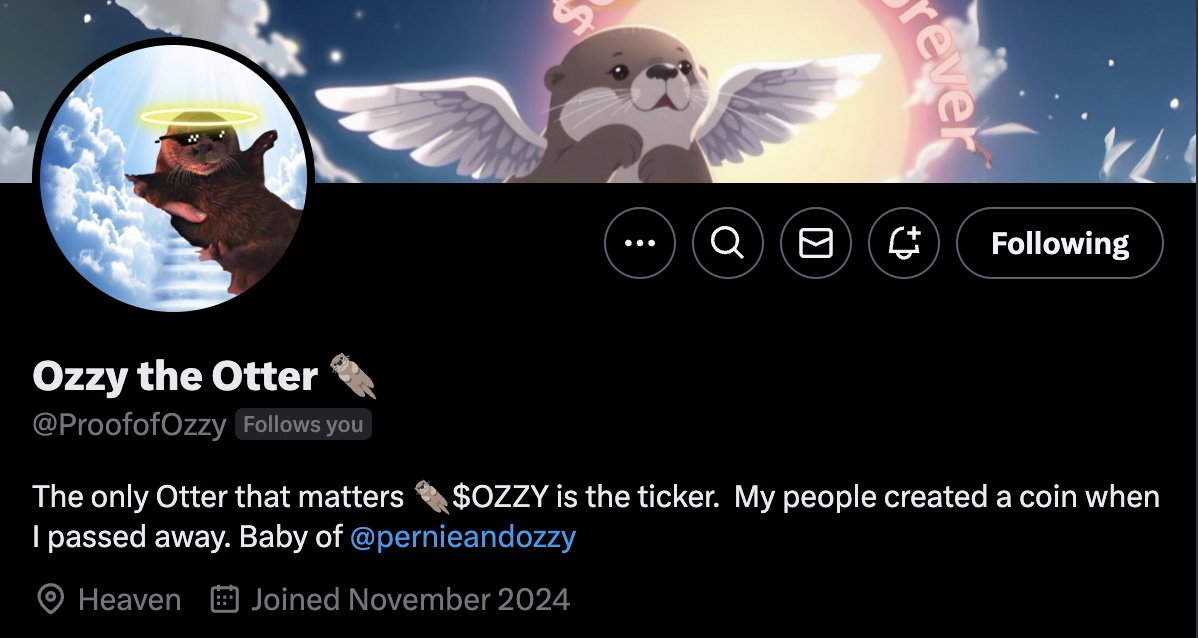 Pernie & Ozzy tweet media