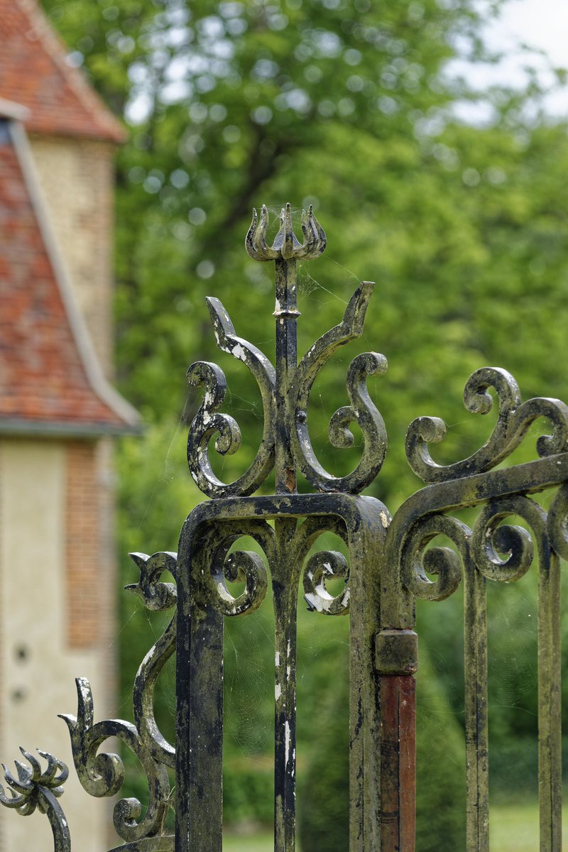 Vendéen tweet media