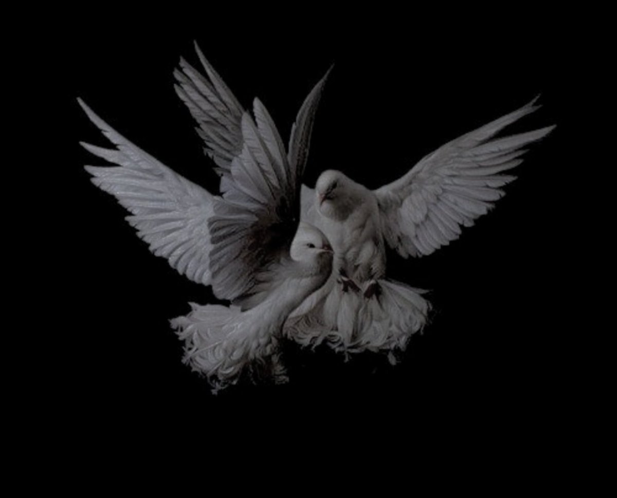 ᅠ

࿐  ⠀ ˗ˏ 𝒚𝒐𝒖 ⠀⠀﹫re ⠀⠀ my    all ⠀⠀ ﹝⠀﹟ 𝗲𝘃𝗲𝗿𝘆𝘁𝗵𝗶𝗻𝗴⠀﹞ ⠀ .    my ⠀⠀l𖦹ve ⠀⠀ &amp;͟&amp;͟  ⠀⠀ till ⠀⠀ 𝔱ʜᴇ ⠀⠀ end ⠀⠀𓋜 ⠀⠀of ⠀⠀the ⠀⠀ ⩇⩇:⩇⩇    ᵗi𝐦̳e ⠀ .⠀⠀⌚ ⠀⠀  𓂃 ࣪˖ 

ᅠ