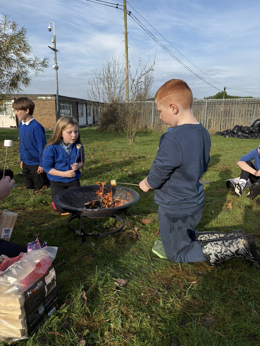 Miss Toland & P4-7 tweet media