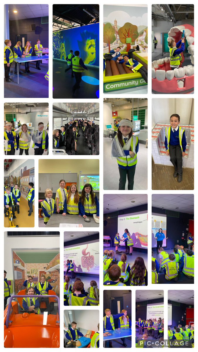 Prestolee Primary (@prestolee_1911) on Twitter photo Linked to their recent Science topic on digestion, Y4 have enjoyed some hands on learning during their visit to <a href="/eurekamuseum/">Eureka! Museum</a> this week! Linked to their recent Science topic on digestion, Y4 have enjoyed some hands on learning during their visit to <a href="/eurekamuseum/">Eureka! Museum</a> this week!