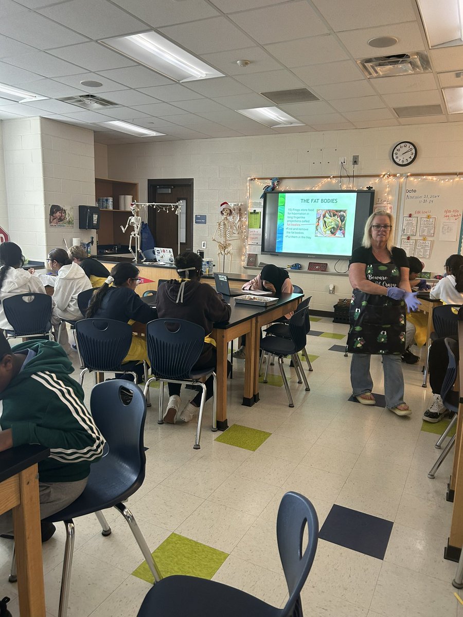 DeSana Middle School 7th graders have had an exciting couple of days as they stepped into the shoes of scientists during their frog dissection lab! A huge shout out to our 7th grade science teachers and RBM of Alpharetta for making this fascinating experience possible.