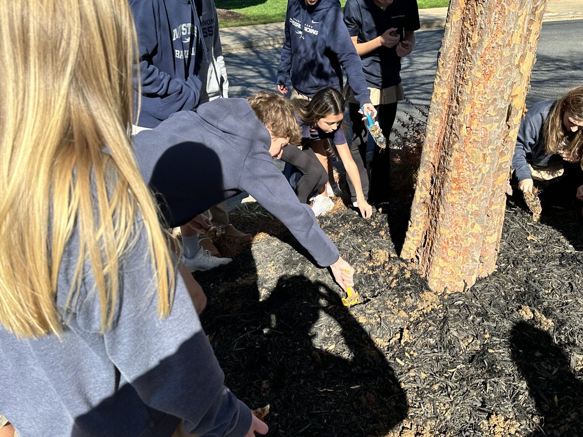 Mike Edmonson (@mikeedmonson) on Twitter photo My community planting daffodils 🌼 around campus for the Daffodil Project in remembrance of the children killed during the Holocaust <a href="/TheMVSchool/">Mount Vernon School</a> #MVMiddle My community planting daffodils 🌼 around campus for the Daffodil Project in remembrance of the children killed during the Holocaust <a href="/TheMVSchool/">Mount Vernon School</a> #MVMiddle