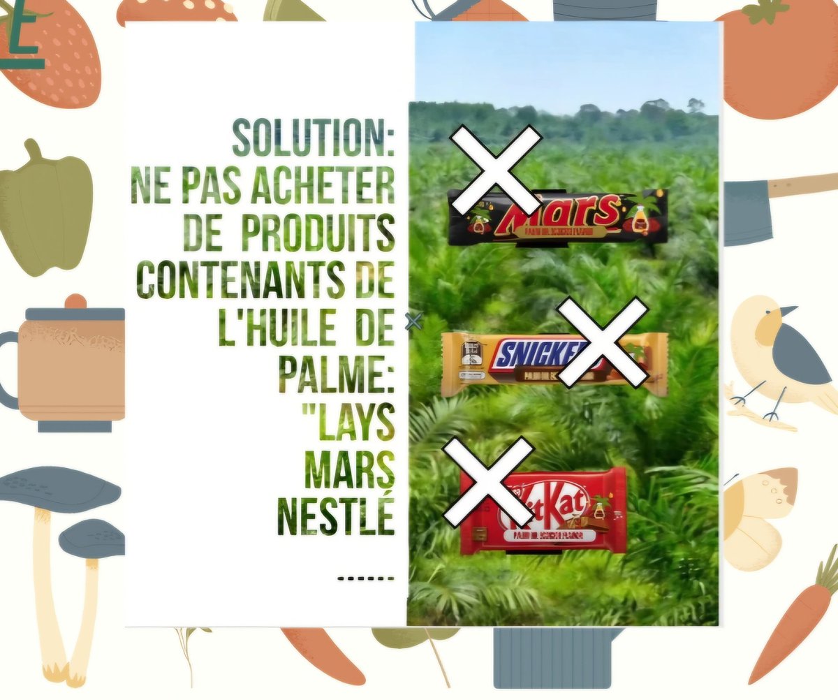 Delphine Normand tweet media