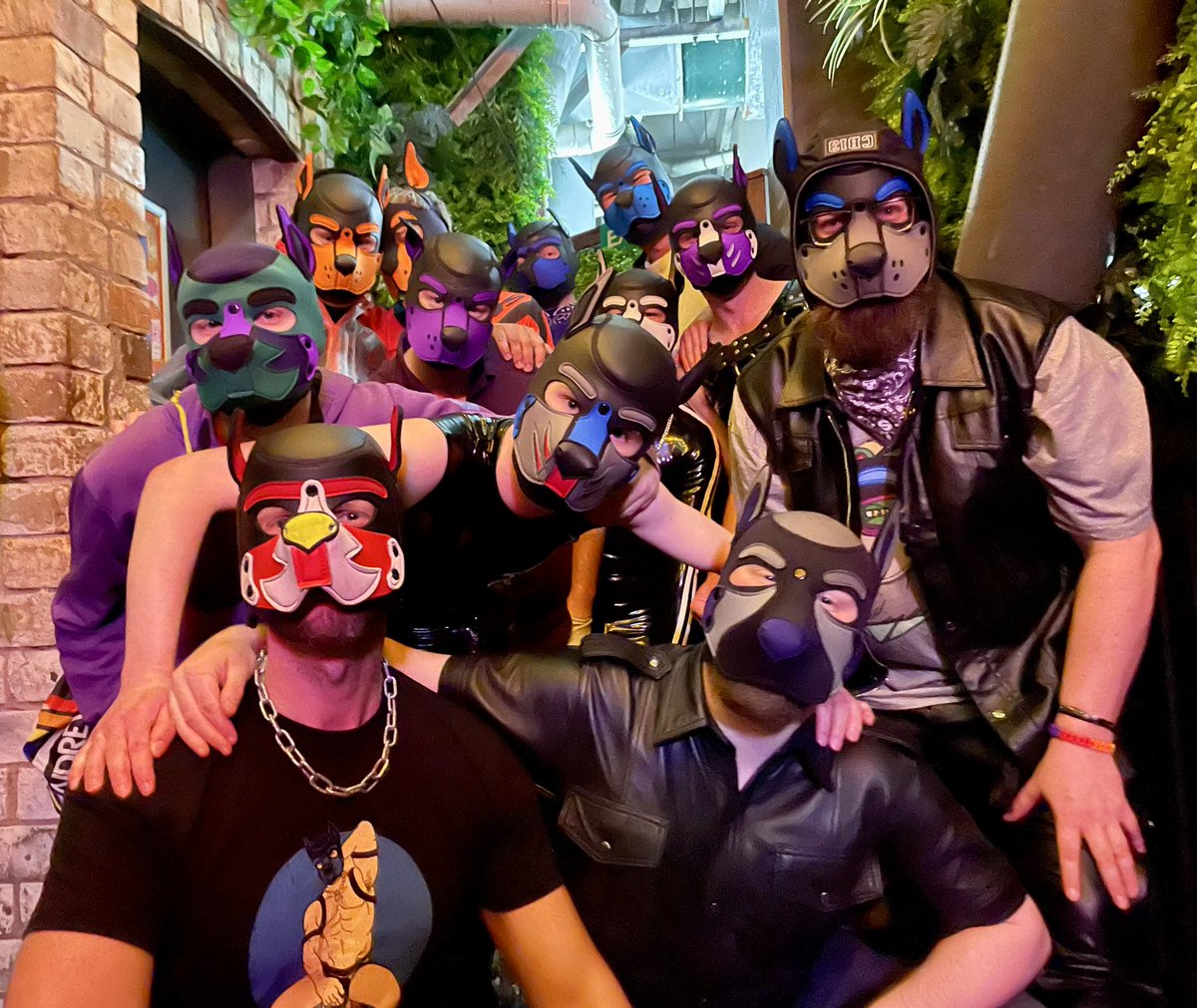 Wruff times 🕺🏻

#gaypup #gaypups #gaypupsnz