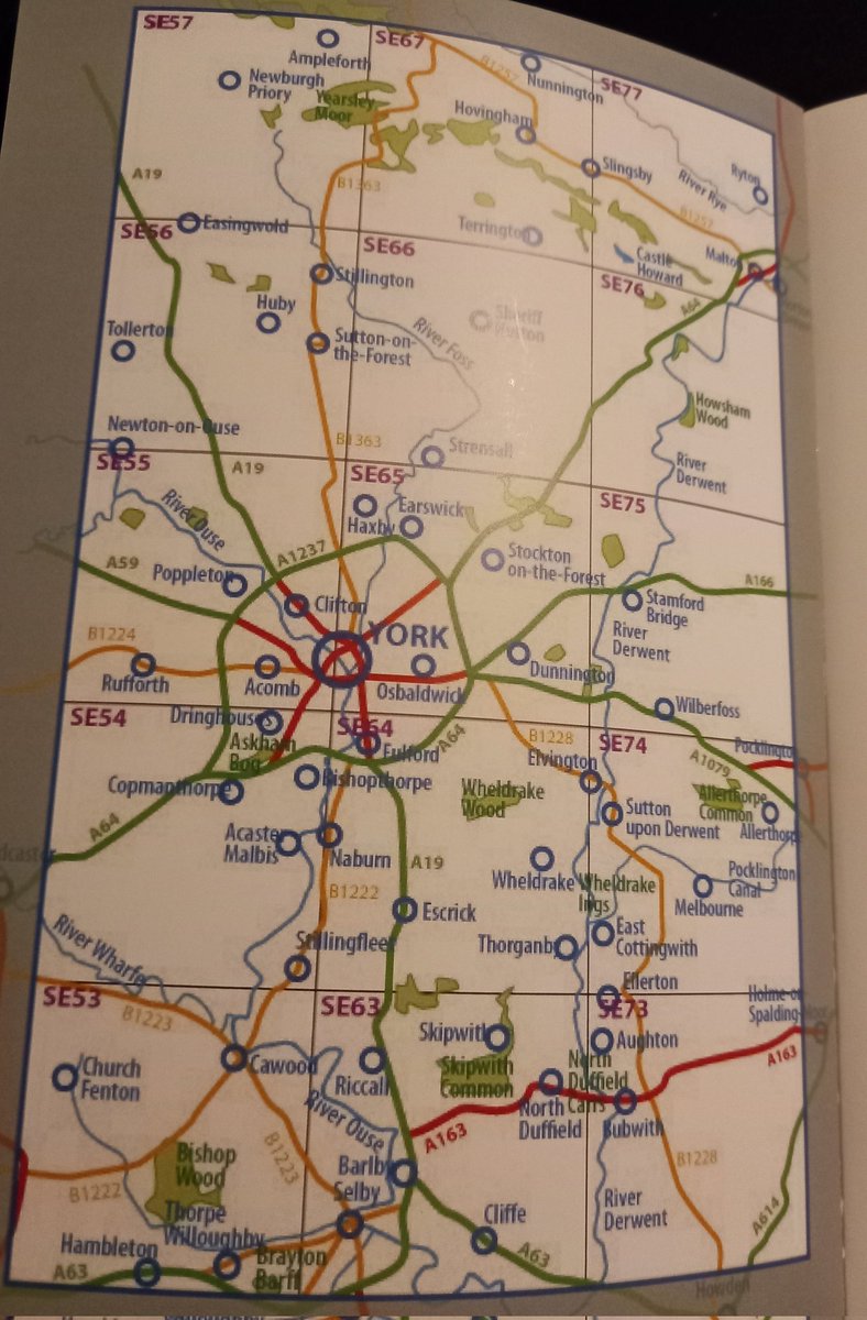 York Birding tweet media