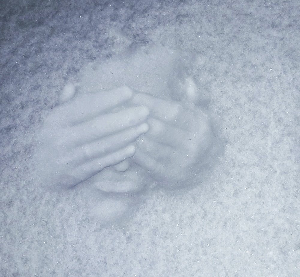 idafm's tweet photo. dat gras maaien van het weiland wordt 'm zo ook niet. Het hoofd in de sneeuw drukken om 'n #sneeuwfie te maken kan dan nu weer wél 🙈
#snowfacechallenge https://t.co/pIiYDCRe0F