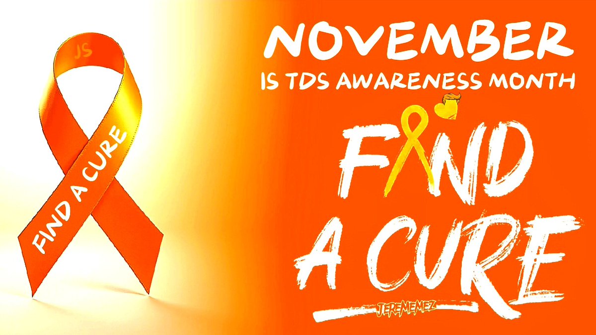 JereMemez's tweet photo. @elonmusk November is TDS awareness month, together we can find a cure.🧡
#TDSNovember #FindACure https://t.co/4ewKXv5PpW