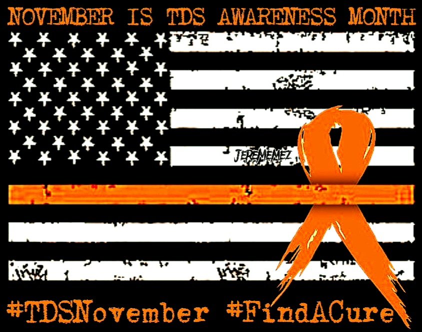 JereMemez's tweet photo. @elonmusk November is TDS awareness month, together we can find a cure.🧡
#TDSNovember #FindACure https://t.co/4ewKXv5PpW