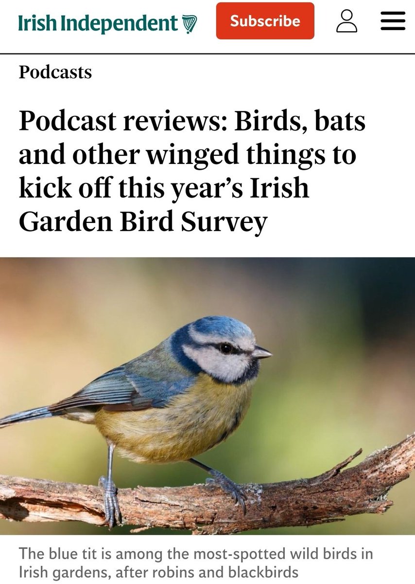 Ricky Whelan (@rickywhela90923) on Twitter photo Nice surprise for <a href="/BirdWatchIE/">BirdWatch Ireland</a>'s In Your Nature (IYN) #podcast to get a cheeky mention in <a href="/Independent_ie/">Irish Independent</a>, thanks to #LucyWhite for that 🙏. Also in company with <a href="/MiseAnja/">Anja Murray</a> and <a href="/brianmacgloinn/">Brían Mac Gloinn</a>'s Feather and Flock featured. New episodes of IYN droppong soon! m.independent.ie/podcasts/podca… Nice surprise for <a href="/BirdWatchIE/">BirdWatch Ireland</a>'s In Your Nature (IYN) #podcast to get a cheeky mention in <a href="/Independent_ie/">Irish Independent</a>, thanks to #LucyWhite for that 🙏. Also in company with <a href="/MiseAnja/">Anja Murray</a> and <a href="/brianmacgloinn/">Brían Mac Gloinn</a>'s Feather and Flock featured. New episodes of IYN droppong soon! m.independent.ie/podcasts/podca…