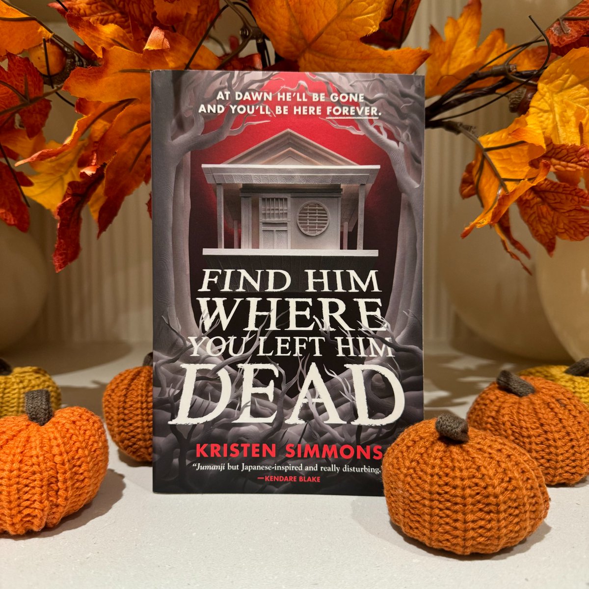 Tor Teen tweet media