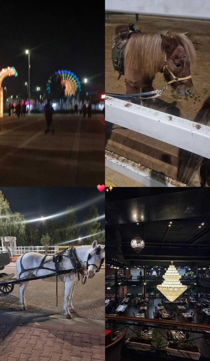 Leveen27's tweet photo. 🐎🎡✨️ https://t.co/qXuNsI2wzD