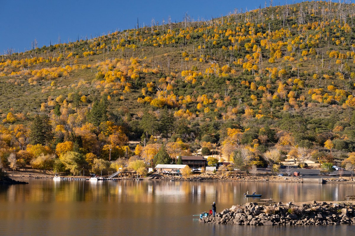 Nelvin Cepeda (@nelcepeda) on Twitter photo Now's a great time for a drive to Cuyamaca to see the brilliant fall colors Now's a great time for a drive to Cuyamaca to see the brilliant fall colors