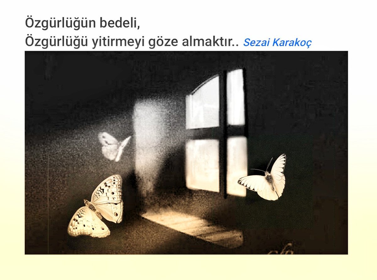 mukadderat38's tweet photo. #sezaikarakoç https://t.co/YySvLTMN8p