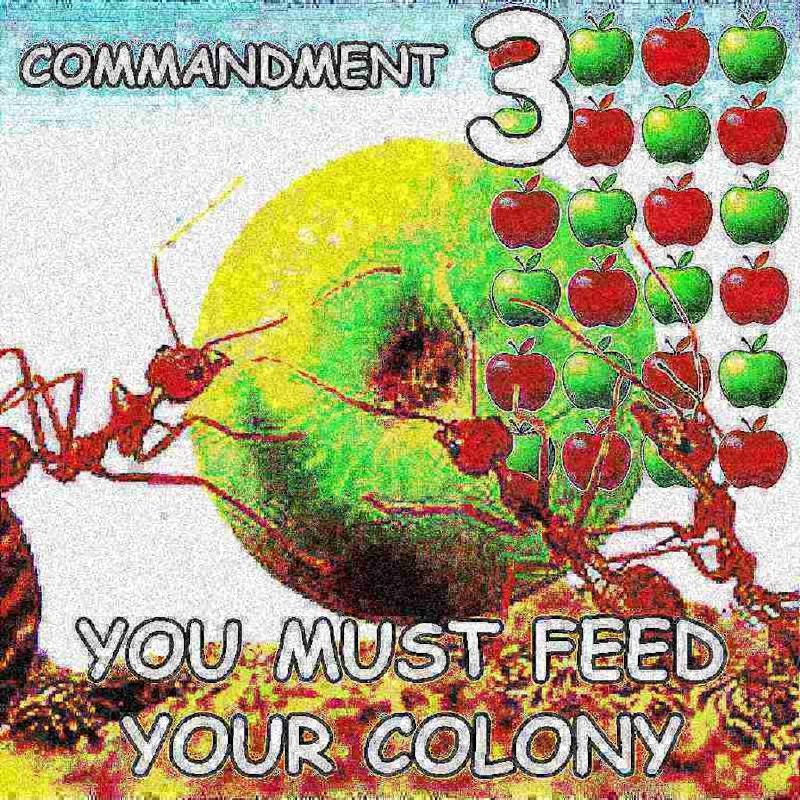 nuclearcomp's tweet image. YOU MUST FEED YOUR COLONY

The Ant Colony will grow