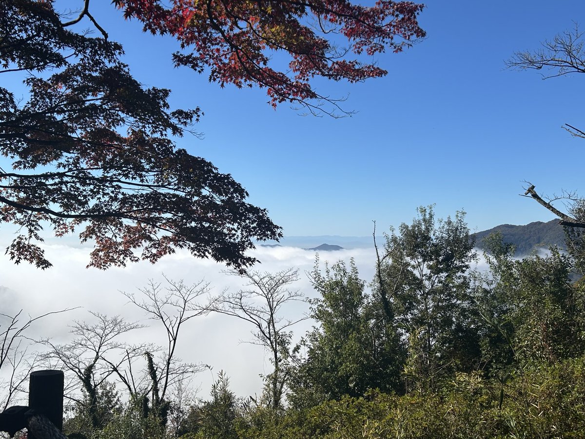 dangoitiban's tweet photo. 今日の栃木市太平山謙信平の朝の景色です。かすかに雲海の向こうに富士山が見えます。 https://t.co/xSC6mc7yYf