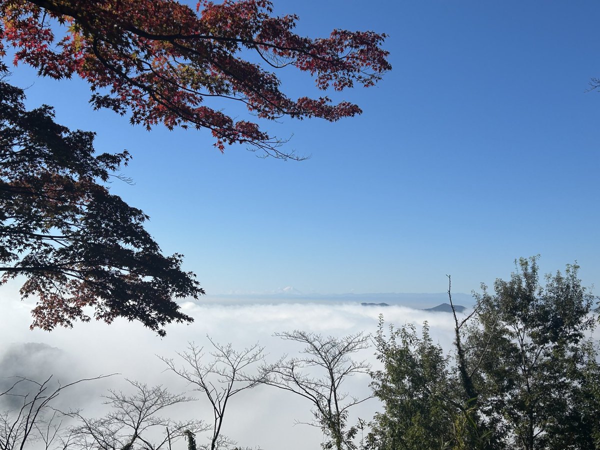 dangoitiban's tweet photo. 今日の栃木市太平山謙信平の朝の景色です。かすかに雲海の向こうに富士山が見えます。 https://t.co/xSC6mc7yYf
