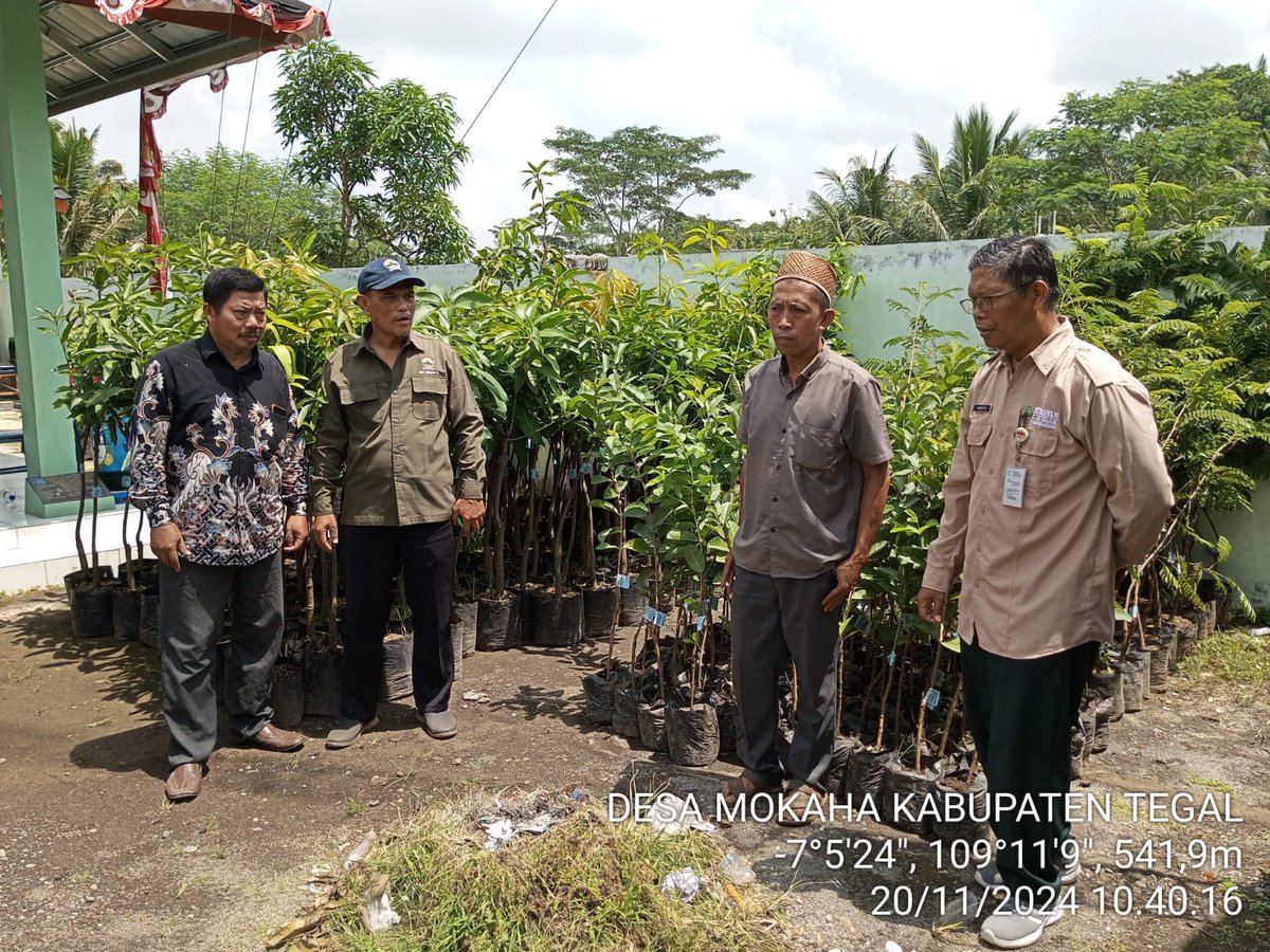 cdk5dlhkjateng's tweet image. CDK Wilayah V menyerahkan bibit produktif kepada masyarakat Desa Mokaha Jatinegara, Kab. Tegal pada 21 November 2024. Sebagai upaya penghijauan hutan dan pelestarian alam.  

Semoga langkah ini membawa manfaat jangka panjang bagi lingkungan dan kesejahteraan masyarakat🌱

#BitPro