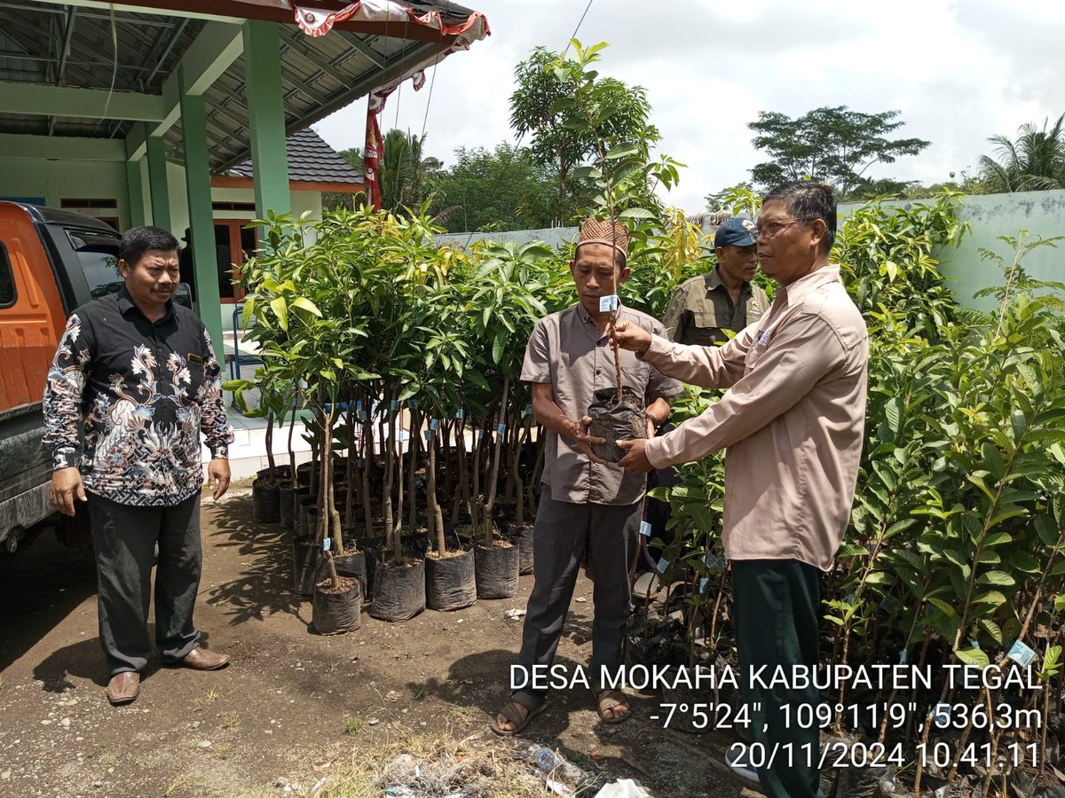 cdk5dlhkjateng's tweet image. CDK Wilayah V menyerahkan bibit produktif kepada masyarakat Desa Mokaha Jatinegara, Kab. Tegal pada 21 November 2024. Sebagai upaya penghijauan hutan dan pelestarian alam.  

Semoga langkah ini membawa manfaat jangka panjang bagi lingkungan dan kesejahteraan masyarakat🌱

#BitPro