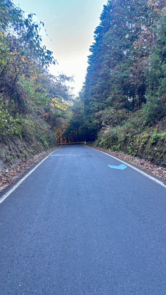 Matthew62945438's tweet photo. 2024.11.22
RIDLEY Noah Fast🚴
Good Morning cycling☀️
本日の仕事前のサイクリング!
#ロードバイク乗りと繋がりたい #ロードバイク好きな人と繋がりたい #ロードバイク #RIDLEY #RIDLEYBike #NoahFast #라이딩 #Mavic #Morning #朝 https://t.co/CSxZyOoo3F