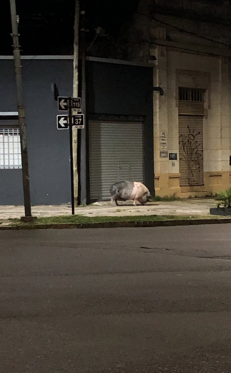 <a href="/NoContext_LP/">Out Of Context La Plata</a>