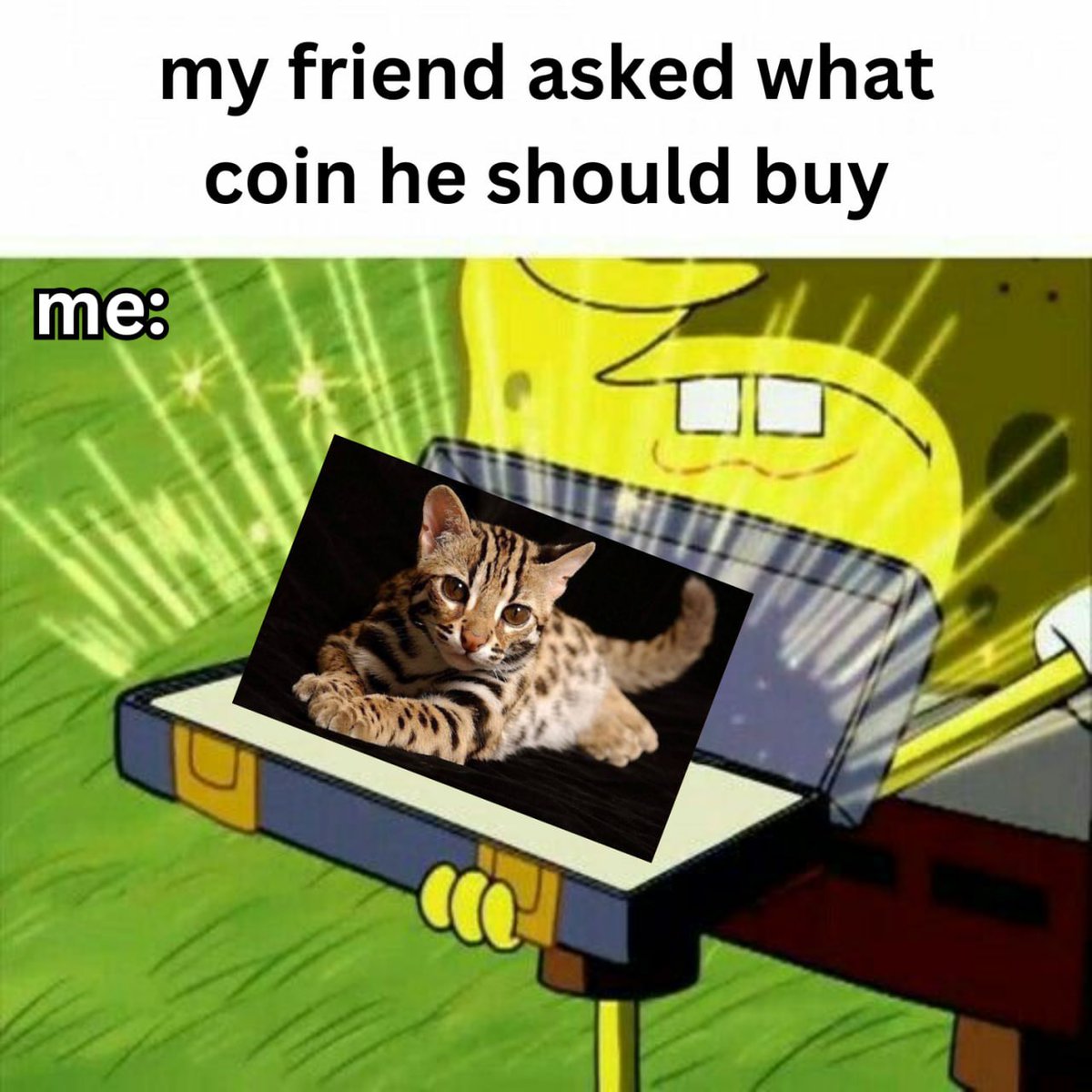 He understood the assignment. 🤫💰🐈 $ZEUS