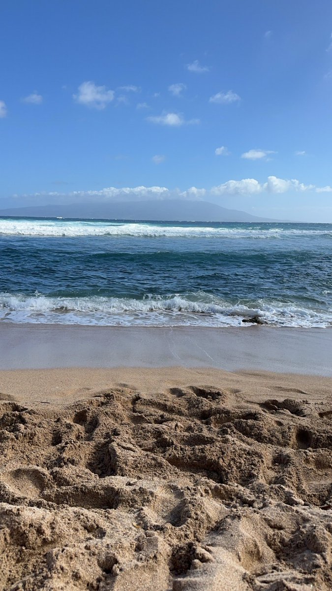 HMasallo's tweet photo. The beautiful beaches of Hawaii🏝️🌞🌺 https://t.co/rCuVIjYm47